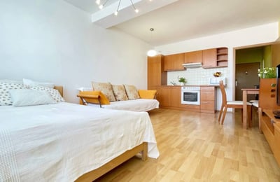 Rent of a furnished 1-room apartment, 36 m², Vajnory district, Bratislava, Slovakia